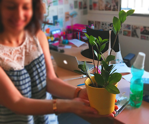 Vous aussi vos plantes IRIS Interactive s’&eacute;panouissent sur votre bureau ?